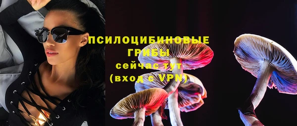 PSILOCYBIN Баксан