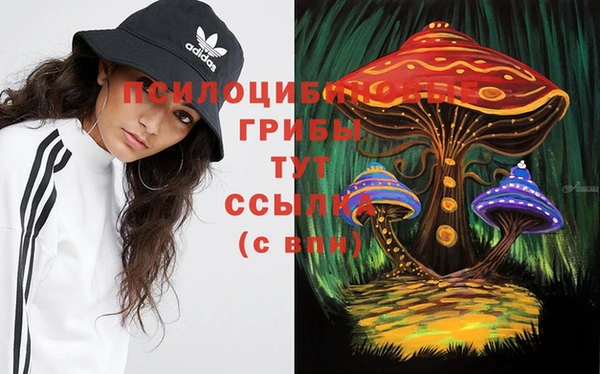 PSILOCYBIN Баксан