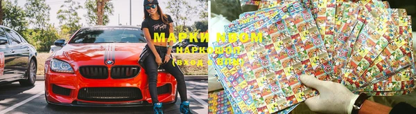 PSILOCYBIN Баксан