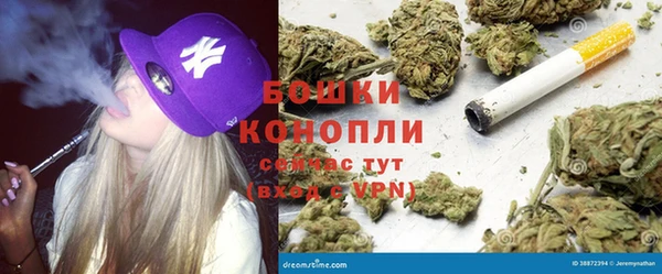 PSILOCYBIN Баксан