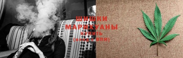 PSILOCYBIN Баксан