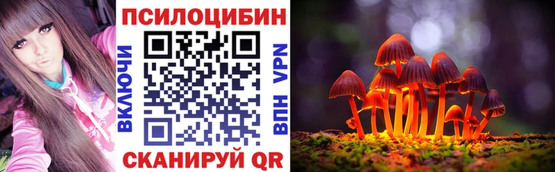 Псилоцибиновые грибы прущие грибы  где продают наркотики  Кувандык 