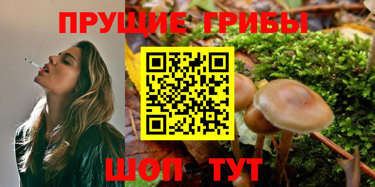 Псилоцибиновые грибы GOLDEN TEACHER Кувандык